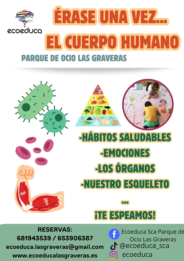 Ecoeduca oferta de actividades extraescolares